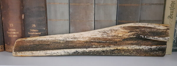 Imitiertes Scrimshaw-Kunstwerk - Harz-Nachbildung eines Walfischknochens aus Panbone - Produktion durch Juratone Co. Ltd., U.K. seit 1960 – Bild 3